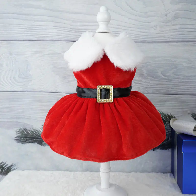 colorful cocktail dresses Gold Velvet Christmas Pet Dress Up Outfit – Catluminati