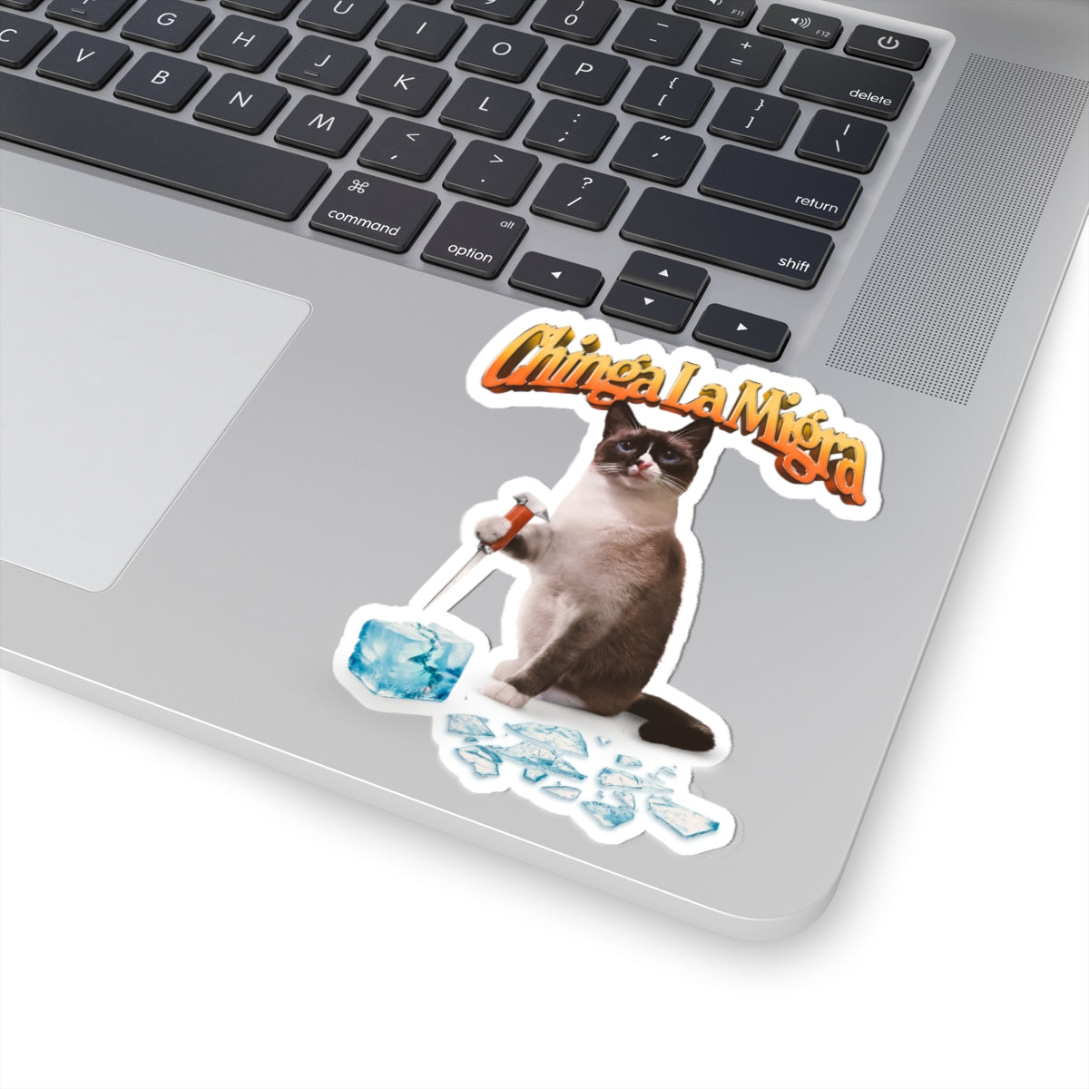 Sticker 'Chinga La Migra' Anti Ice Cat Kiss-Cut Sticker