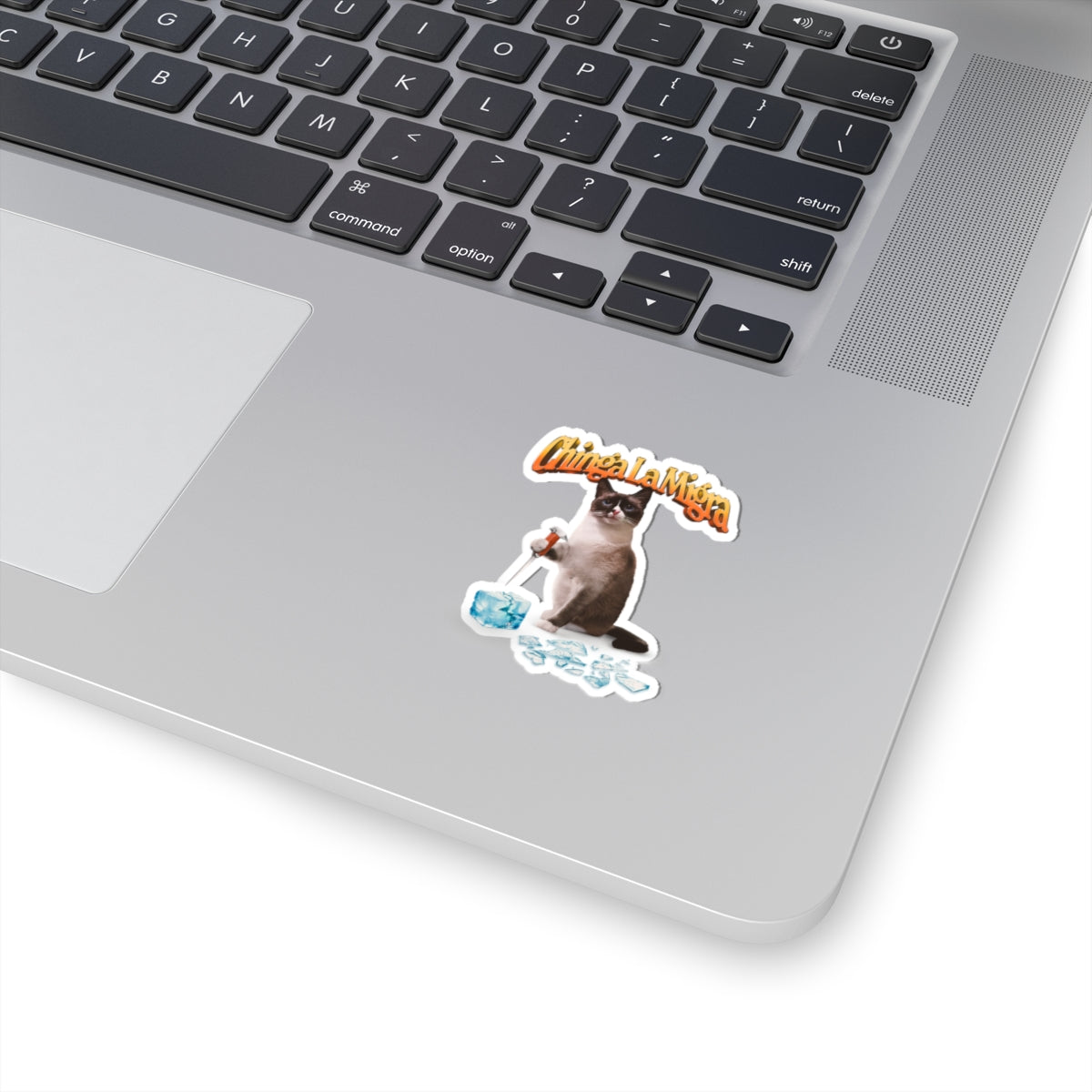 Sticker 'Chinga La Migra' Anti Ice Cat Kiss-Cut Sticker