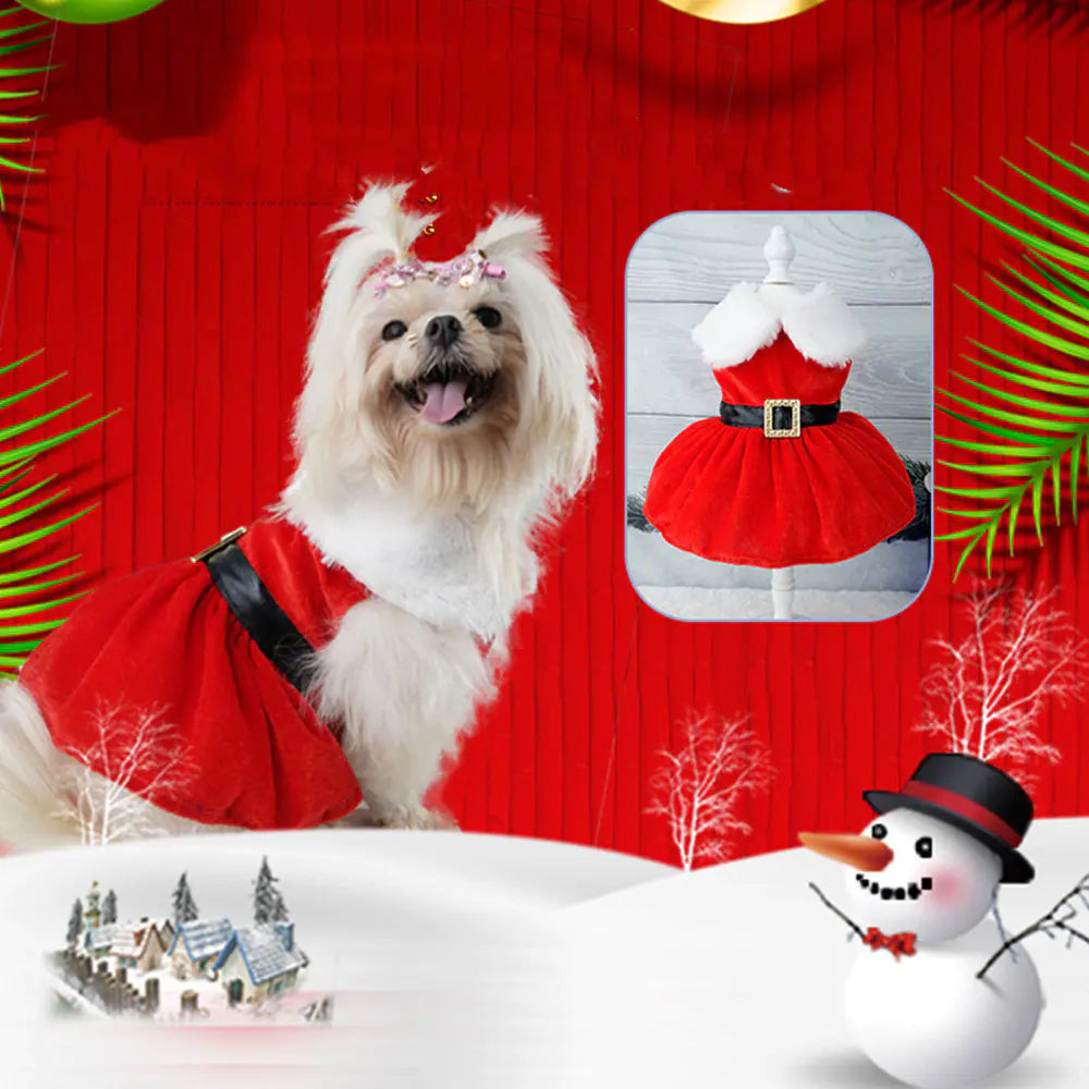 Gold Velvet Christmas Pet Dress Up Outfit