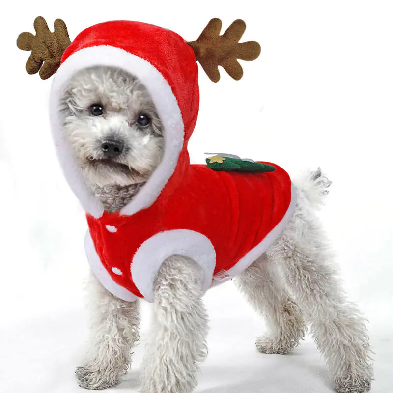 Warm Flannel Pet Dress for Christmas and New Year – Catluminati